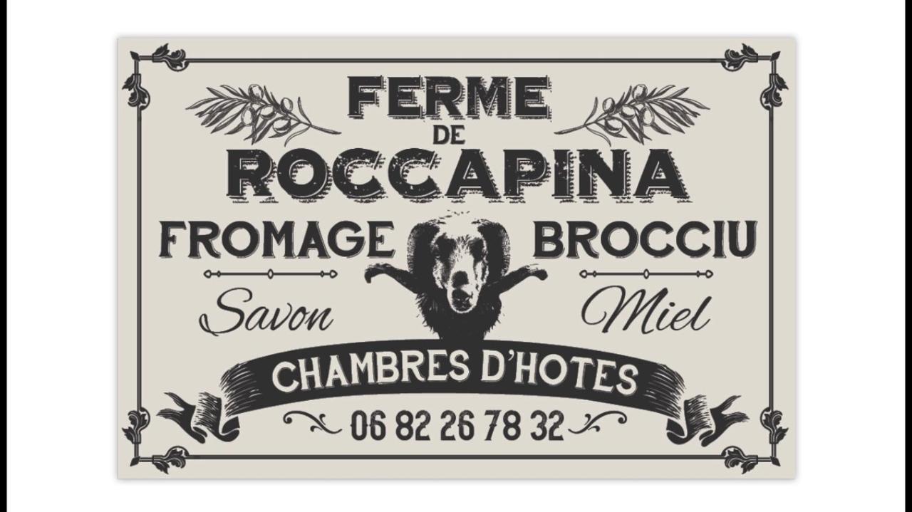 Bed and Breakfast Ferme De Roccapina Sarragia Zewnętrze zdjęcie